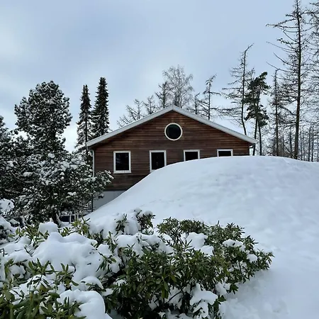 Familiehuis Met Hottub | 10 Pers. Wilsum