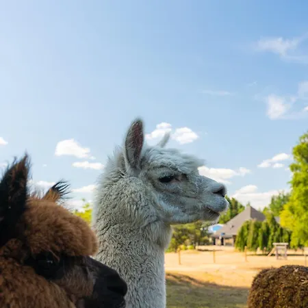 Familiehuis Met Hottub & Sauna | 10 Pers. Casa de Férias *