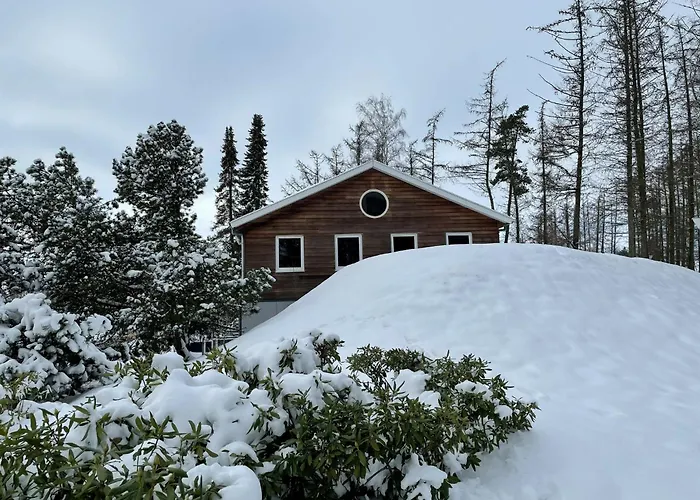 Familiehuis Met Hottub & Sauna | 10 Pers. Wilsum